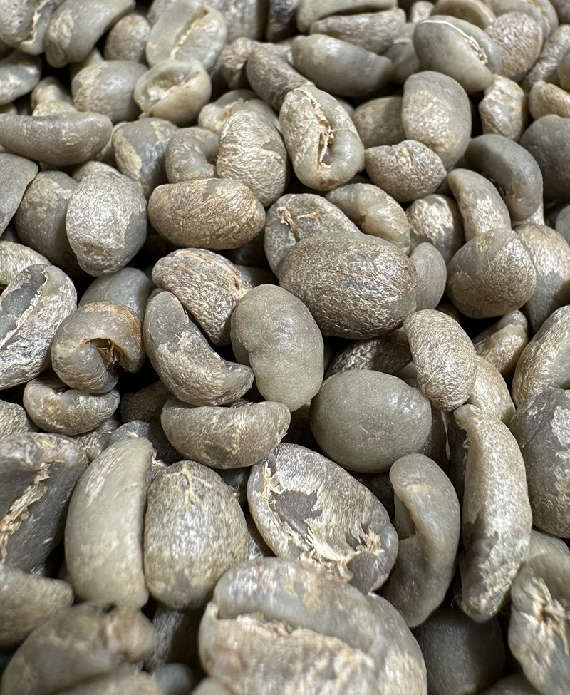 Fresso Honduras Agalta cafea boabe verde de origine 250g [2]
