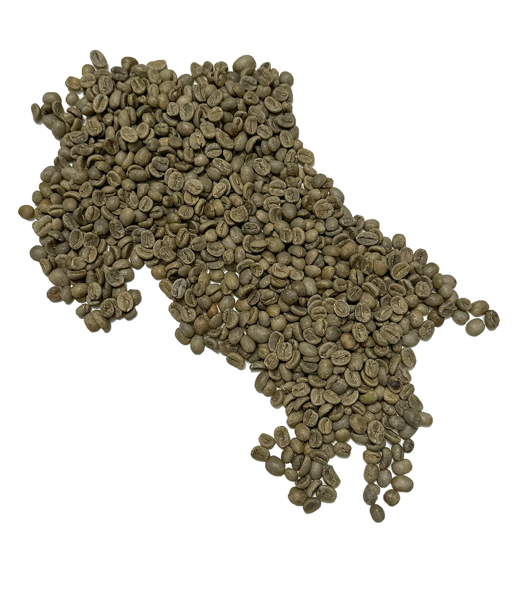 Cafea Boabe - Fresso Costa Rica Tarrazu SHB cafea boabe verde de origine 250g