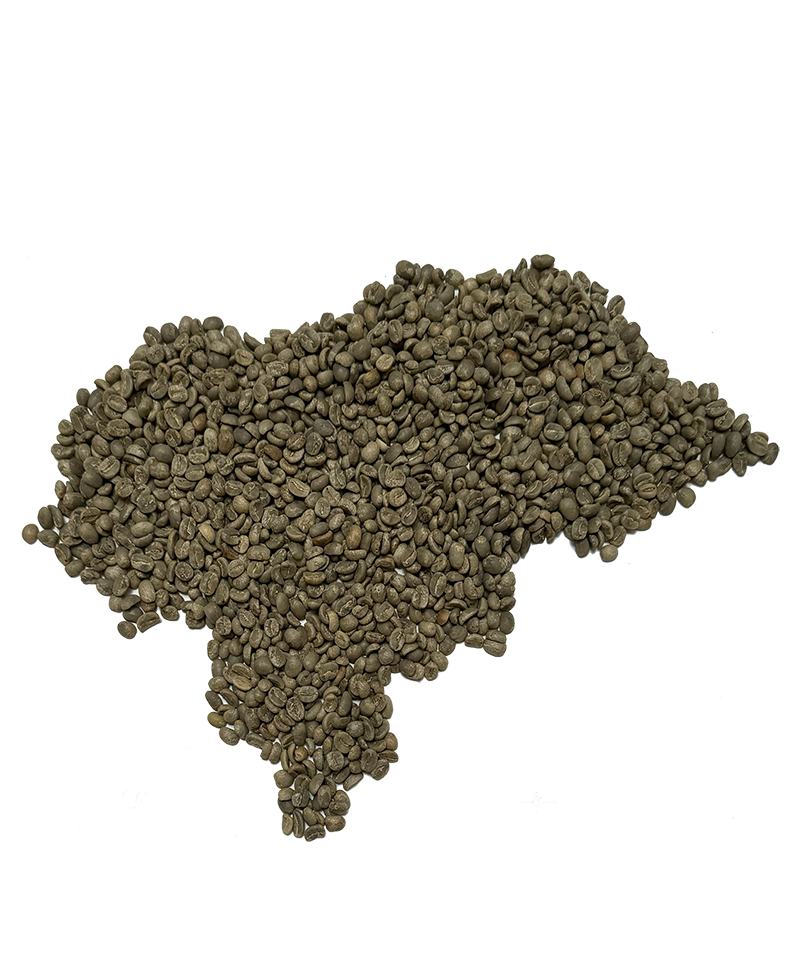 Cafea de specialitate - Fresso Honduras Agalta cafea boabe verde de origine 250g