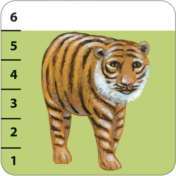 Joc de carti Batanimo [4]