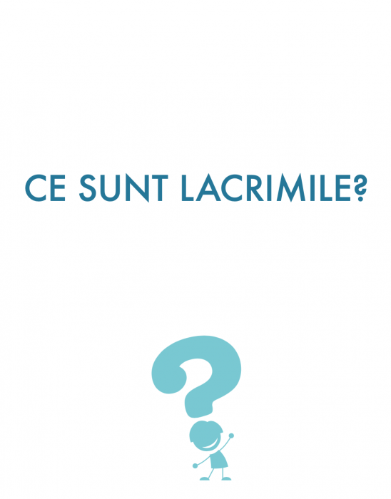 Ce este... ? [3]