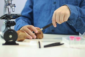 Microscop - 30 experimente [3]