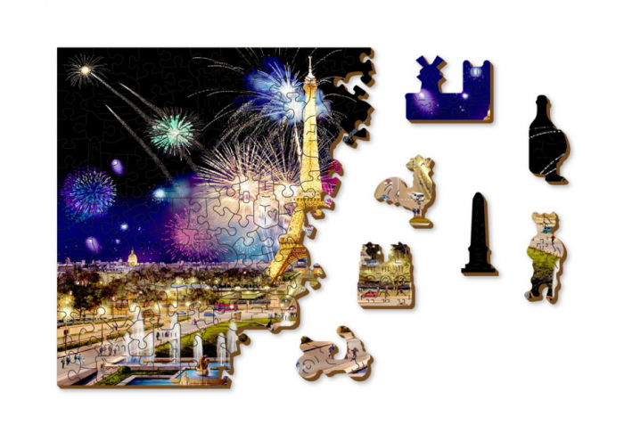 Puzzle din lemn, Parisul noaptea, 505 piese [3]