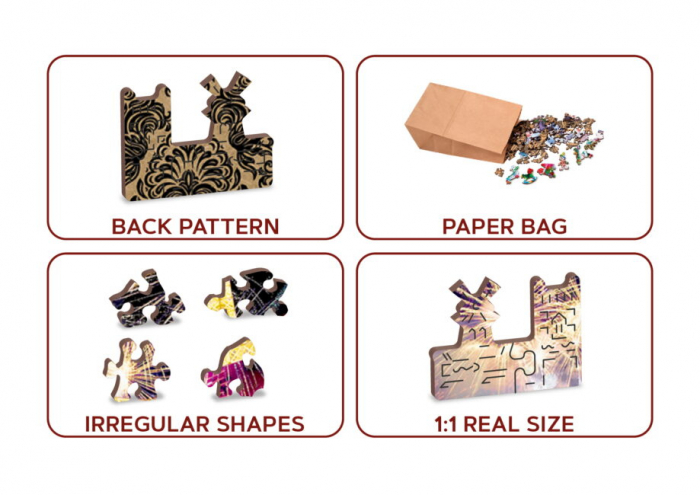 Puzzle din lemn, Parisul noaptea, 505 piese [6]
