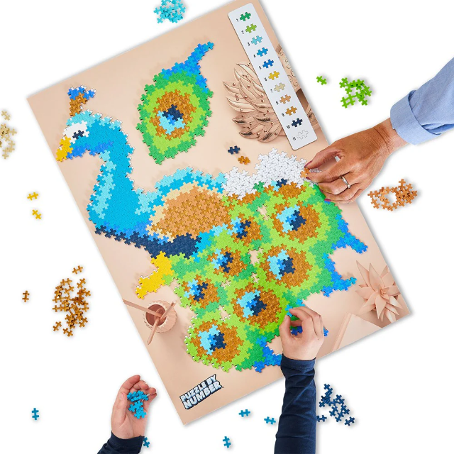 Puzzle pe numere Plus-Plus, 800 piese, Paun [2]