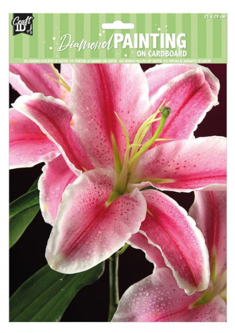 Set creativ pictura cu diamante, Diamond Painting [1]