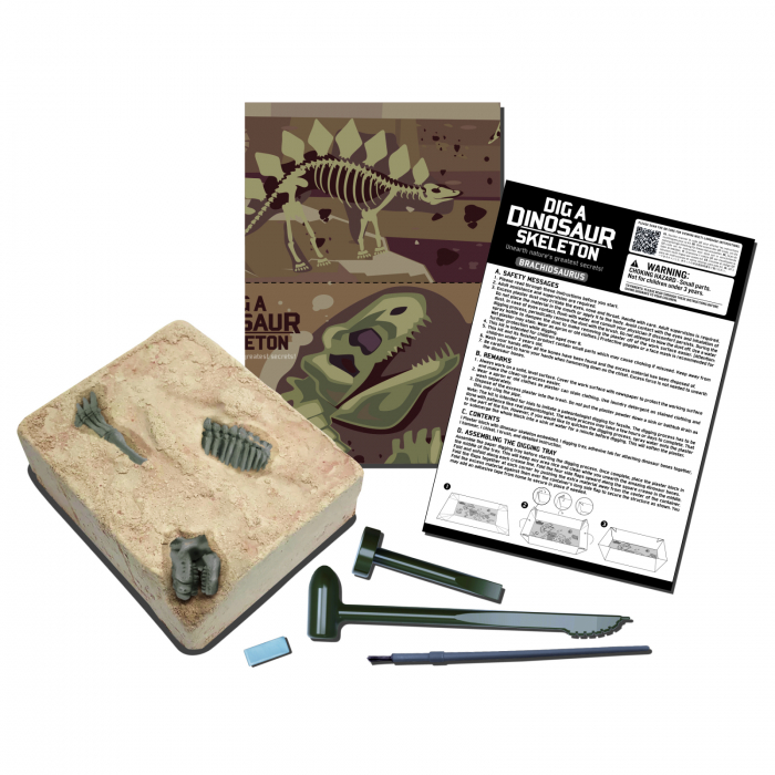 Set educativ Sapa si descopera Dinozauri - Brachiosaurus [4]