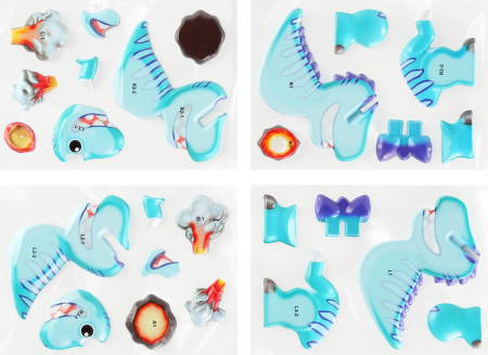 Abtibilduri 3D - Dinozauri [3]