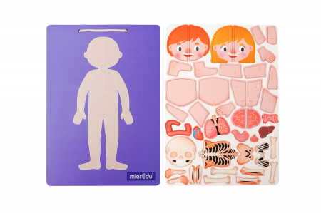 Joc magnetic educativ - Anatomia Umana [7]