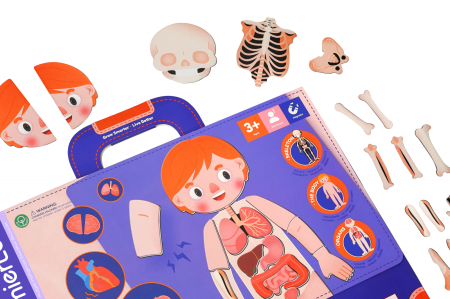 Joc magnetic educativ - Anatomia Umana [12]