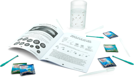 Kit educațional pentru studierea ciclului de viață Artemia Salina [1]