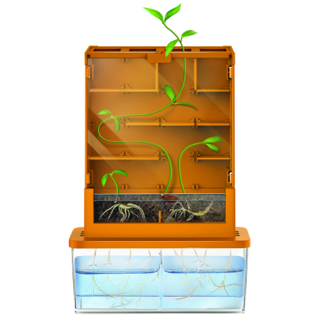 Kit stiintific - Creste un Labirint, Stiinta Verde - Green Science [1]