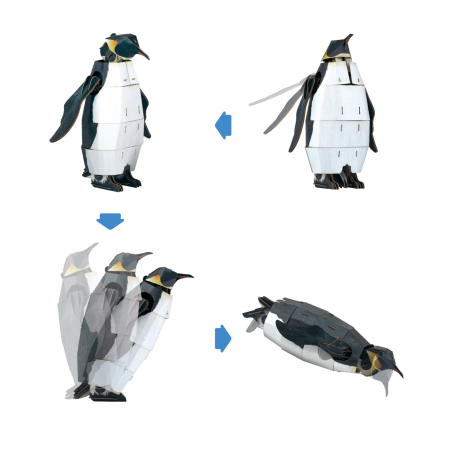 Puzzle 3D reglabil - Pinguin Imperial (deluxe) [5]