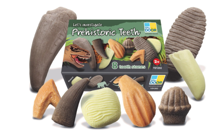 Noutati - Sa investigam! - Dinti preistorici