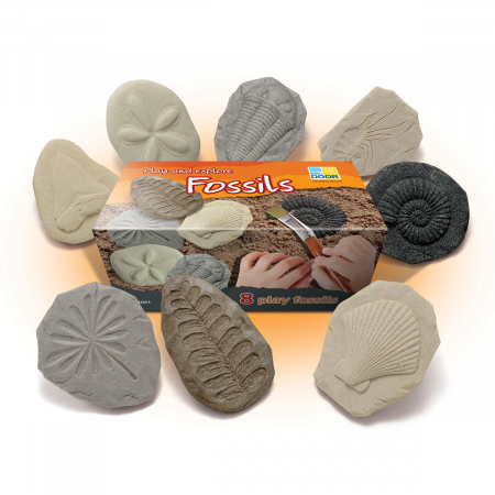 Reduceri - Sa investigam! - Fosile