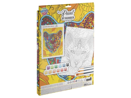 Set creativ, Picteaza pe numere, Canvas Pantera [1]