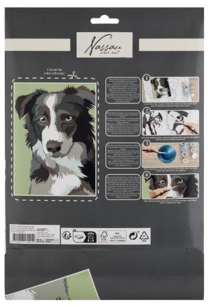 Set creativ, Pictura pe numere cu 9 culori acrilice incluse, model catel, Nassau [1]