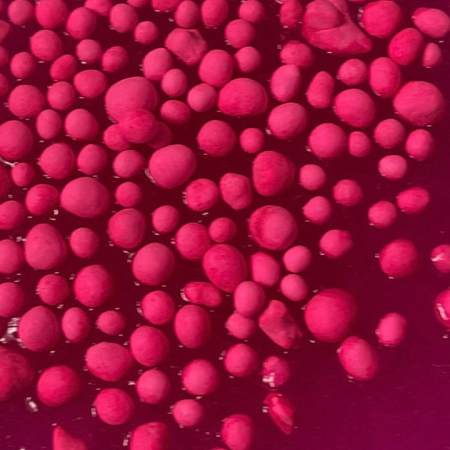 Set DIY experimente SLIME – MAGIC PINK XL [9]