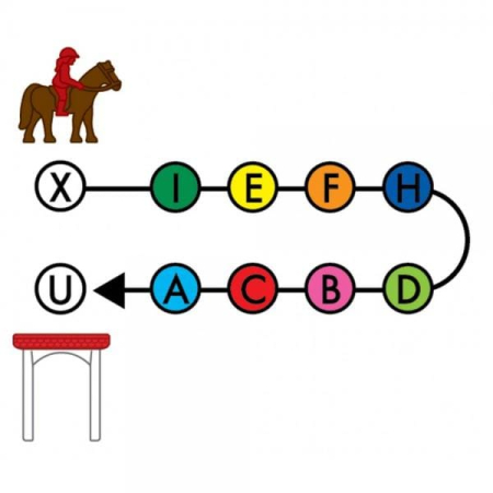 Smart Games - Horse Academy, joc de logica cu 80 de provocari, 7+ ani, lb romana [3]