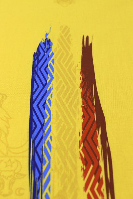 Tricou România Suporter, bărbat, culoare galbenă, CRP113 [4]