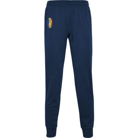 Îmbrăcăminte România - Pantalon de trening, România Amprentă, broderie, culoare bleumarin, CA115