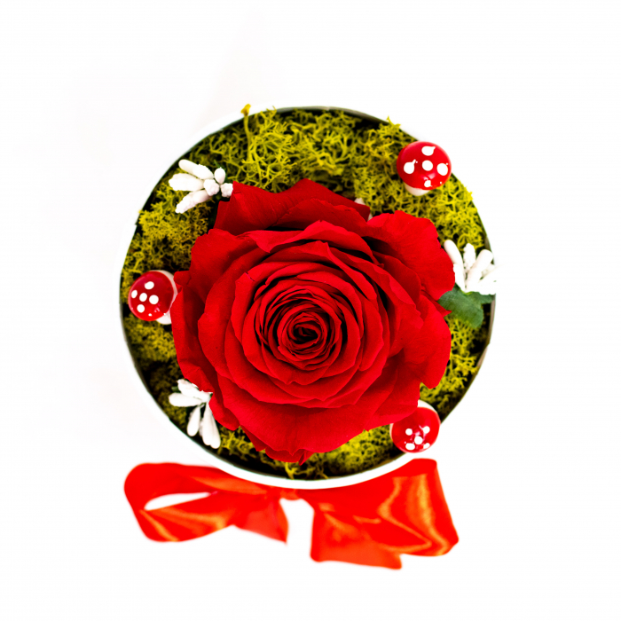 Aranjament Trandafir Criogenat Red [3]