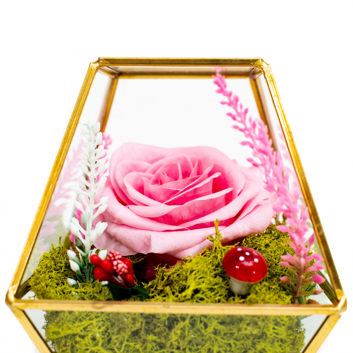 Aranjament Trandafir Criogenat Roz In Dom [4]