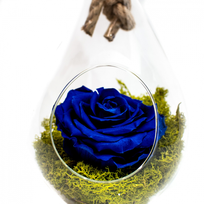 Aranjament Trandafir Criogenat Albastru In Forma De Lacrima [2]