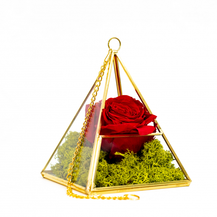 Aranjament Trandafir Criogenat Rosu In Piramida [2]
