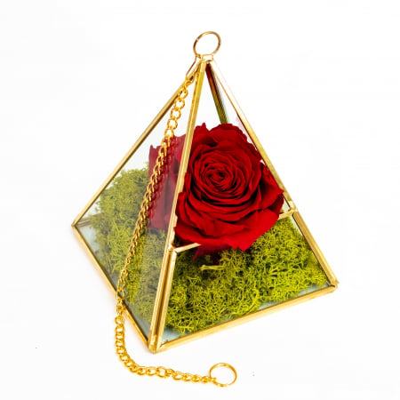 Aranjament Trandafir Criogenat Rosu In Piramida [3]