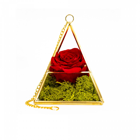Aranjament Trandafir Criogenat Rosu In Piramida [0]