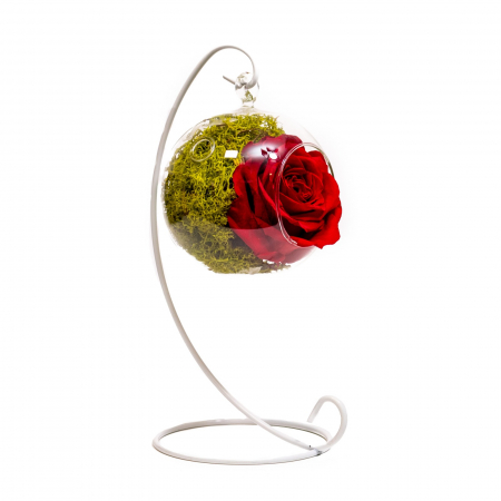 Aranjament Trandafir Criogenat Rosu In Glob Suspendat [3]