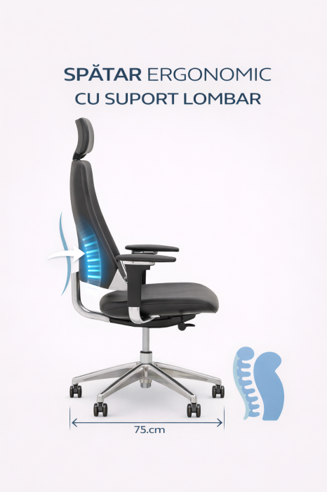 Scaun directorial CEO, Mov stofa Contract [6]