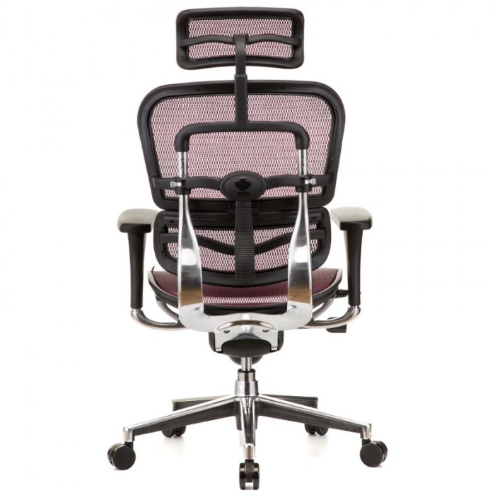 Scaun directorial ERGOHUMAN Plus, mesh Visiniu , tetiera 2D, suport lombar, brate reglabile 3D [5]