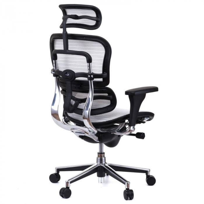 Scaun directorial ERGOHUMAN Plus, mesh Alb , tetiera 2D, suport lombar, brate reglabile 3D [4]