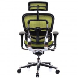 Scaun directorial ERGOHUMAN Plus, mesh Verde , tetiera 2D, suport lombar, brate reglabile 3D [5]