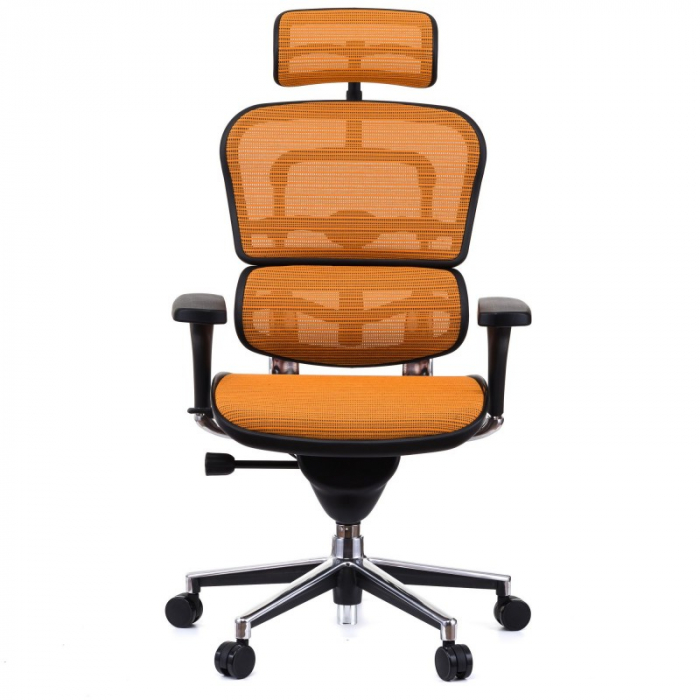 Scaun directorial ERGOHUMAN Plus, mesh Portocaliu , tetiera 2D, suport lombar, brate reglabile 3D [6]