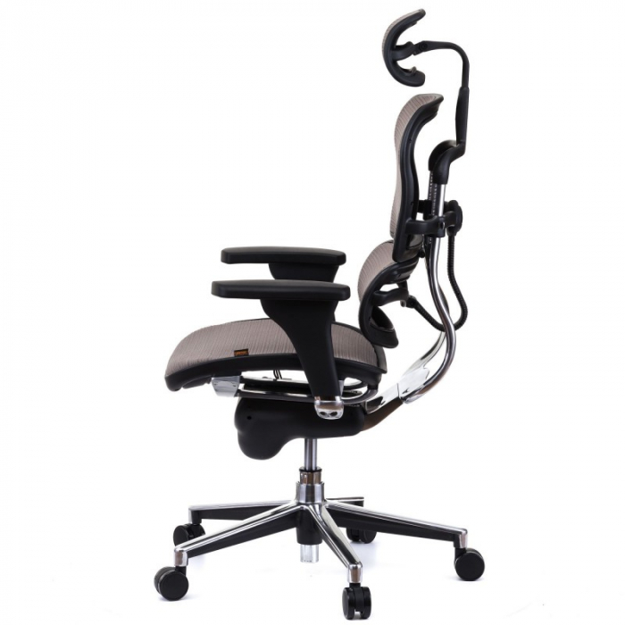 Scaun directorial ERGOHUMAN Plus, mesh Gri , tetiera 2D, suport lombar, brate reglabile 3D [5]