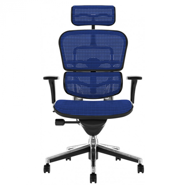 Scaun directorial ERGOHUMAN Plus, mesh Albastru , tetiera 2D, suport lombar, brate reglabile 3D [2]