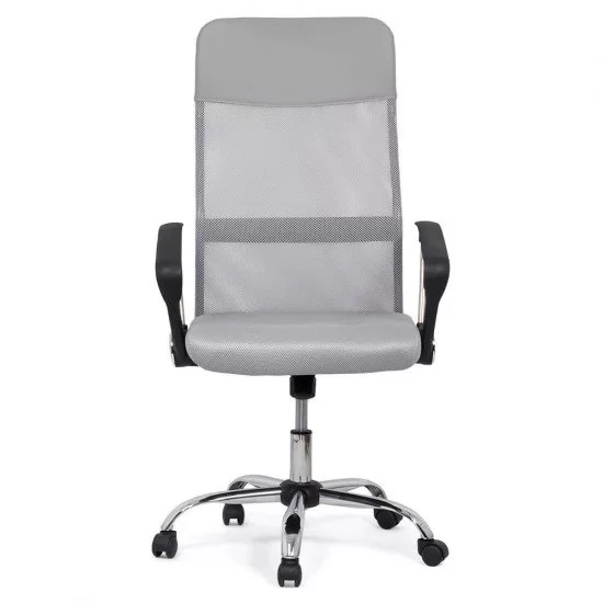 Scaun de birou ergonomic TAZZ Mesh/ piele ecologica Gri [1]