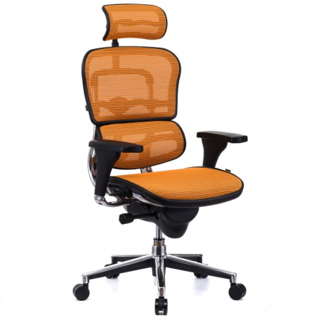 Scaune directoriale - Scaun directorial ERGOHUMAN Plus, mesh Portocaliu , tetiera 2D, suport lombar, brate reglabile 3D