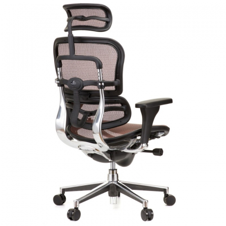 Scaun directorial ERGOHUMAN Plus, mesh Caramiziu , tetiera 2D, suport lombar, brate reglabile 3D [3]