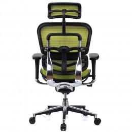 Scaun directorial ERGOHUMAN Plus, mesh Verde , tetiera 2D, suport lombar, brate reglabile 3D [4]