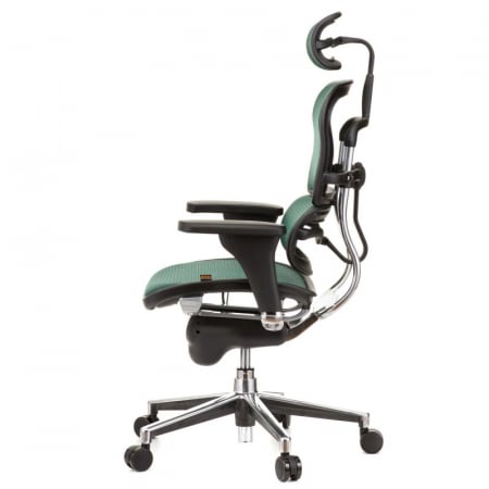 Scaun directorial ERGOHUMAN Plus, mesh Verde inchis , tetiera 2D, suport lombar, brate reglabile 3D [5]