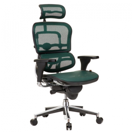 Scaune directoriale - Scaun directorial ERGOHUMAN Plus, mesh Verde inchis , tetiera 2D, suport lombar, brate reglabile 3D