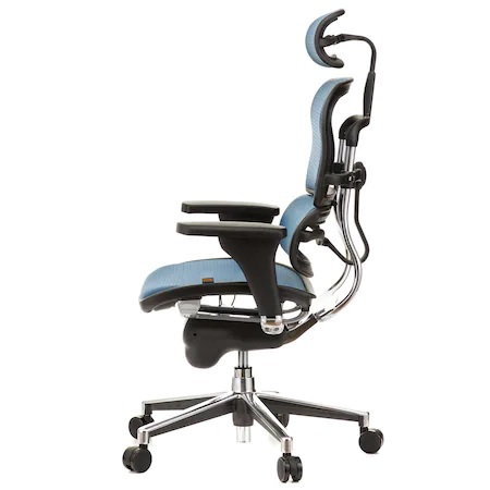 Scaun directorial ERGOHUMAN Plus, mesh Albastru , tetiera 2D, suport lombar, brate reglabile 3D [3]