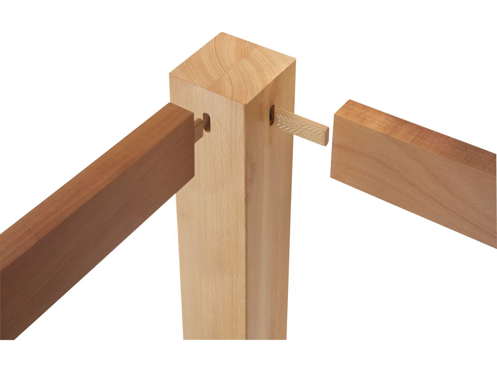Cepuri din lemn de fag DOMINO D 8x50/100 BU [5]