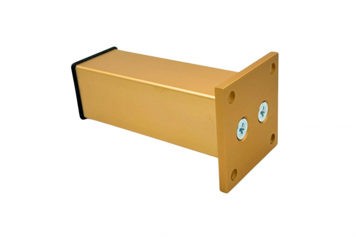 Picior mobila TB07 H 100 mm, gold [3]