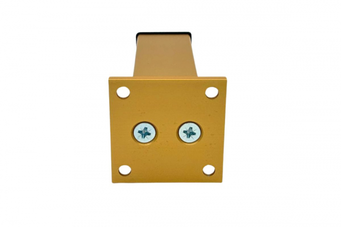 Picior mobila TB07 H 100 mm, gold [4]