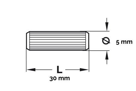 Dibluri (cepuri) lemn 5x30 mm, fag, 1 kg [1]